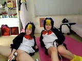 Teen penguins on cam