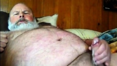 Daddy Bear Cums
