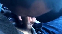 Car blowjob with CIM