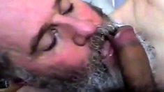 Bearded Daddy Suck And Swallow