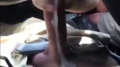 Car Blowjob With Cum