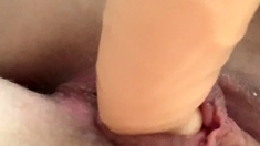 Alice Amateur Blonde Toys Masturbation