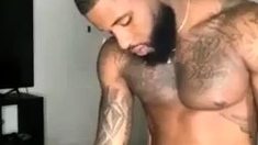 Black and Ebony BABES