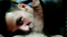 Cock Suckers In Action: Big Cocks, Amateur Blowjobs