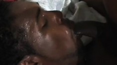 Gay ebony lovers fulfill their wild sex cravings and shag each other