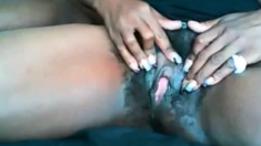 black hairy pussy webcam