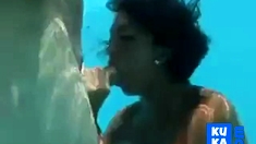 Underwater orgy oral sex!