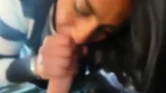 British Uk Muslim Shia Slut Caught Sucking White Dick