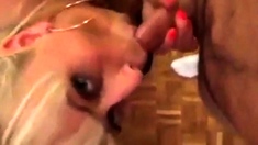 Polish Milf Gets Naild